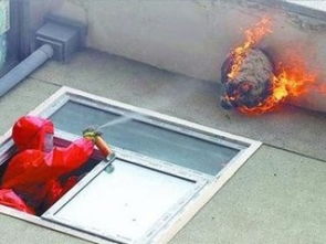 廣州滅馬蜂公司 安全徹底清除殺蜂蟲，兼談保潔清洗服務