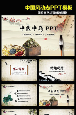 中國傳統(tǒng)文化中醫(yī)中藥傳播動(dòng)態(tài)PPT模板 文化傳播的載體與創(chuàng)新